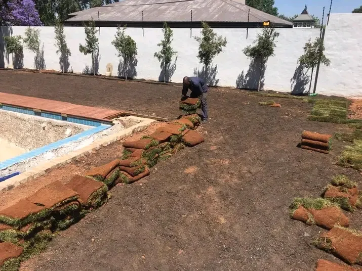 Rolls of instant lawn being laid on prepared soil beside a swimming pool and timber deck